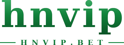 hnvip logo